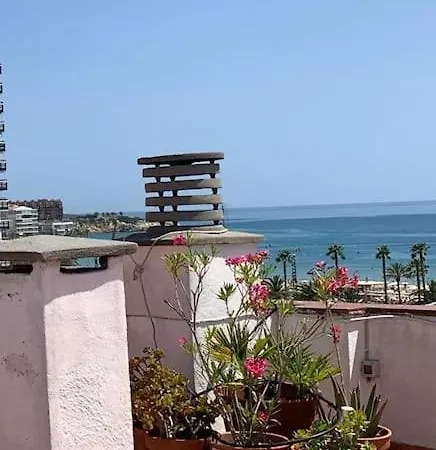 Atico Terraza 250 Metros - *